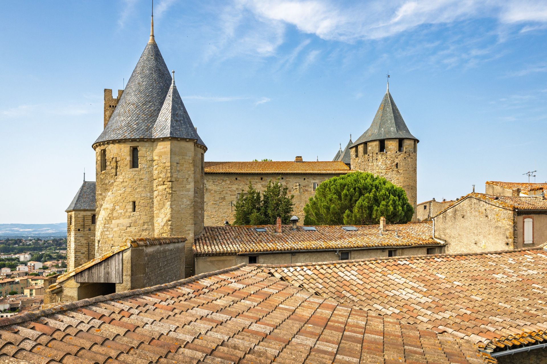 maison de luxe 10 Pièces en vente sur CARCASSONNE (11000)