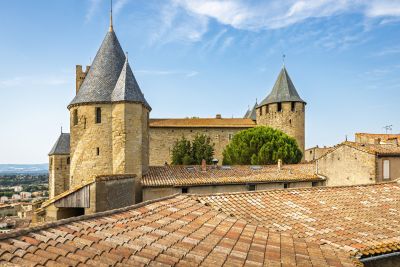 Vente Maison de luxe Carcassonne 10 Pièces 335 m²