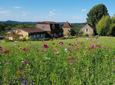 Sale Luxury house Siorac-en-Périgord 15 Rooms 413 m²
