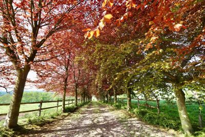 Vente Manoir Écaquelon 15 Pièces 41007 m²