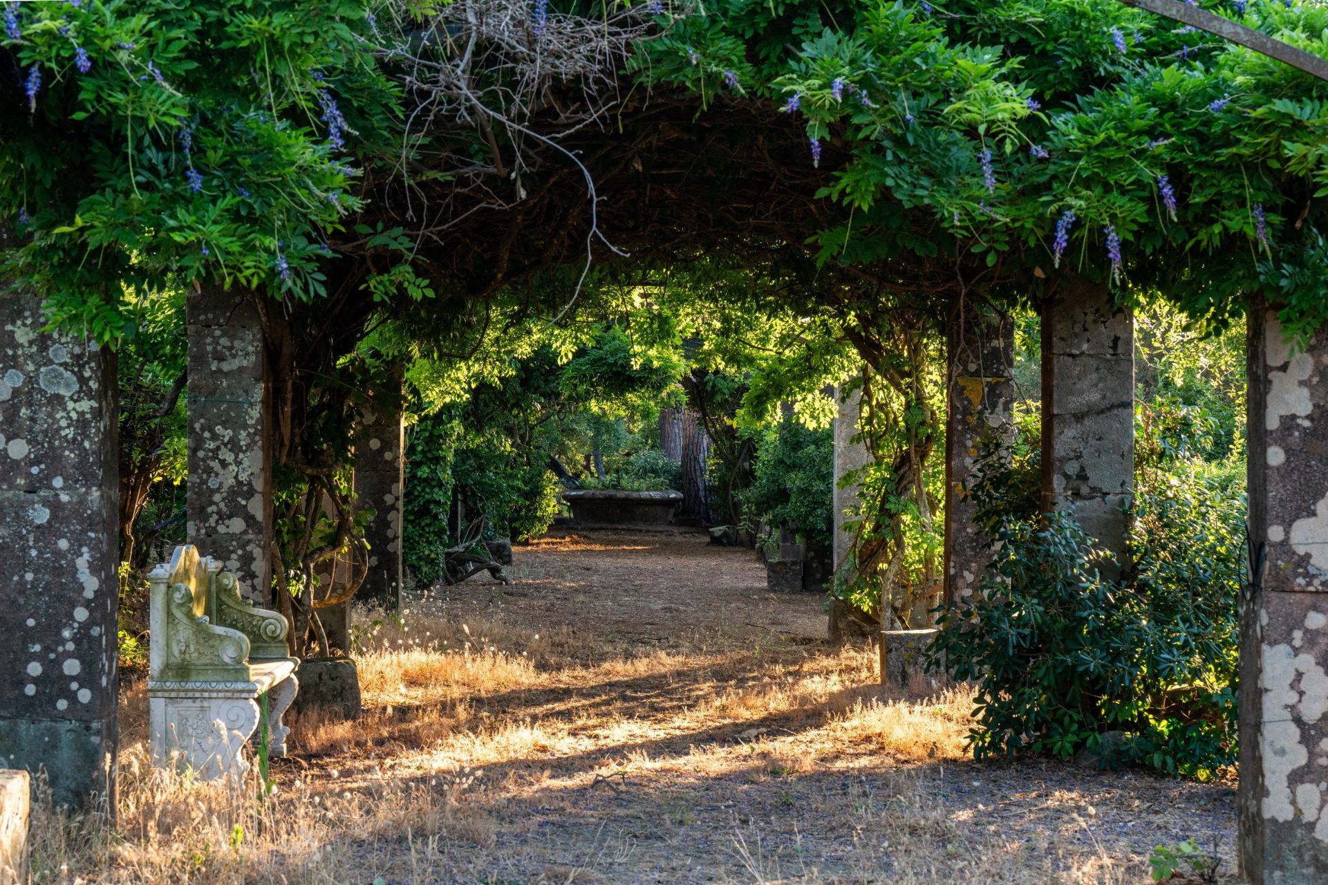 luxury apartment 4 Rooms for sale on ST TROPEZ (83990)