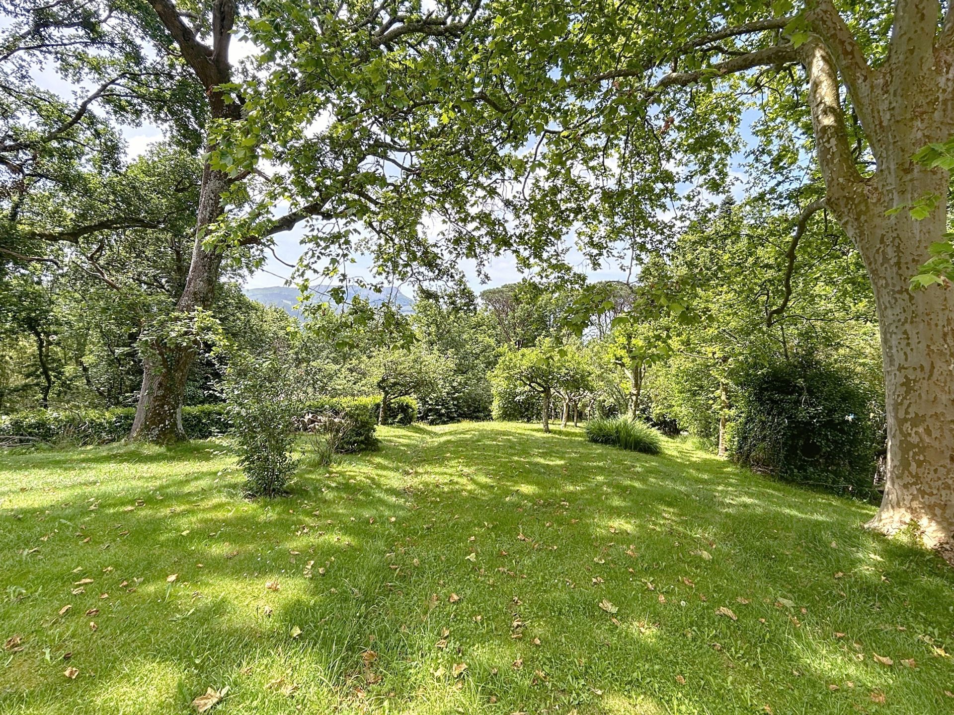 maison de luxe 16 Pièces en vente sur ST PEE SUR NIVELLE (64310)