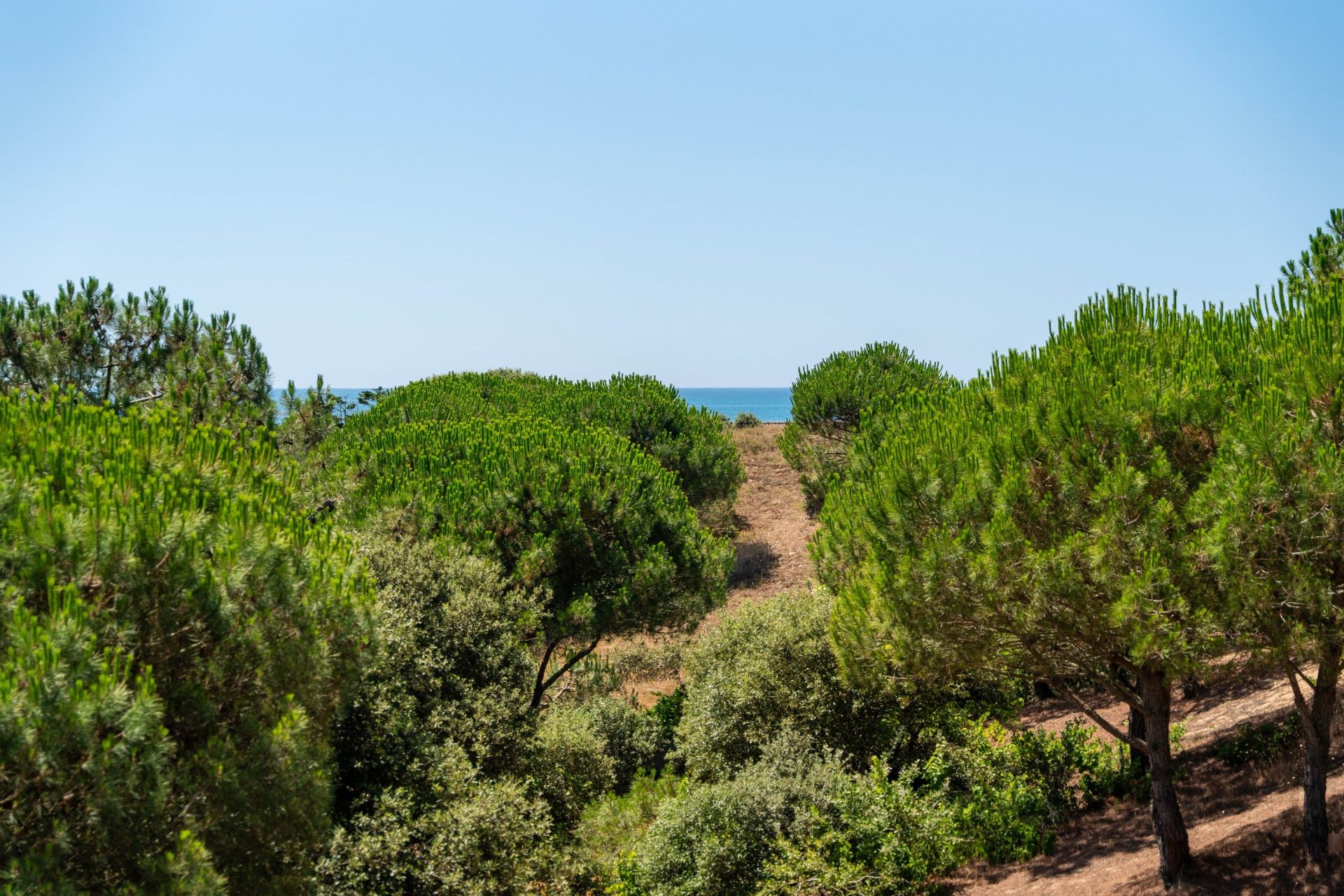 luxury house 6 Rooms for sale on ST GEORGES D OLERON (17190)