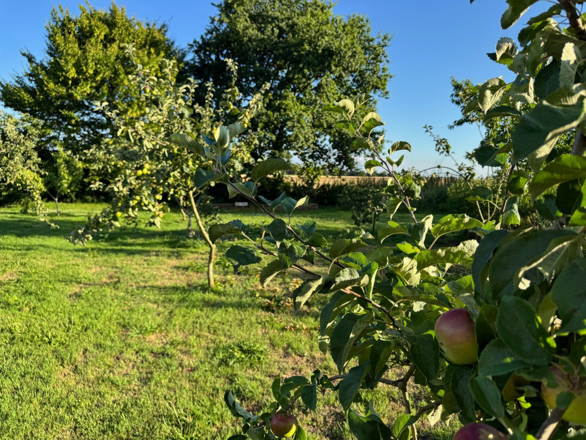 luxury house 7 Rooms for sale on BARENTIN (76360)