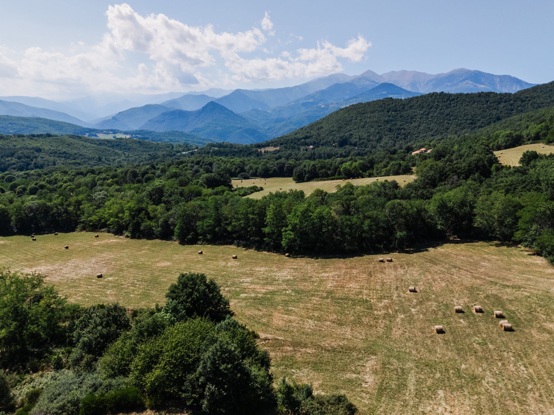maison de luxe 14 Pièces en vente sur ST LAURENT DE CERDANS (66260)