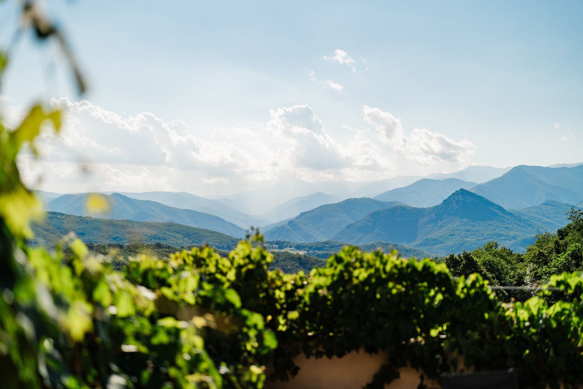 maison de luxe 14 Pièces en vente sur ST LAURENT DE CERDANS (66260)