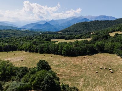 Vente Maison de luxe Saint-Laurent-de-Cerdans 14 Pièces 411 m²