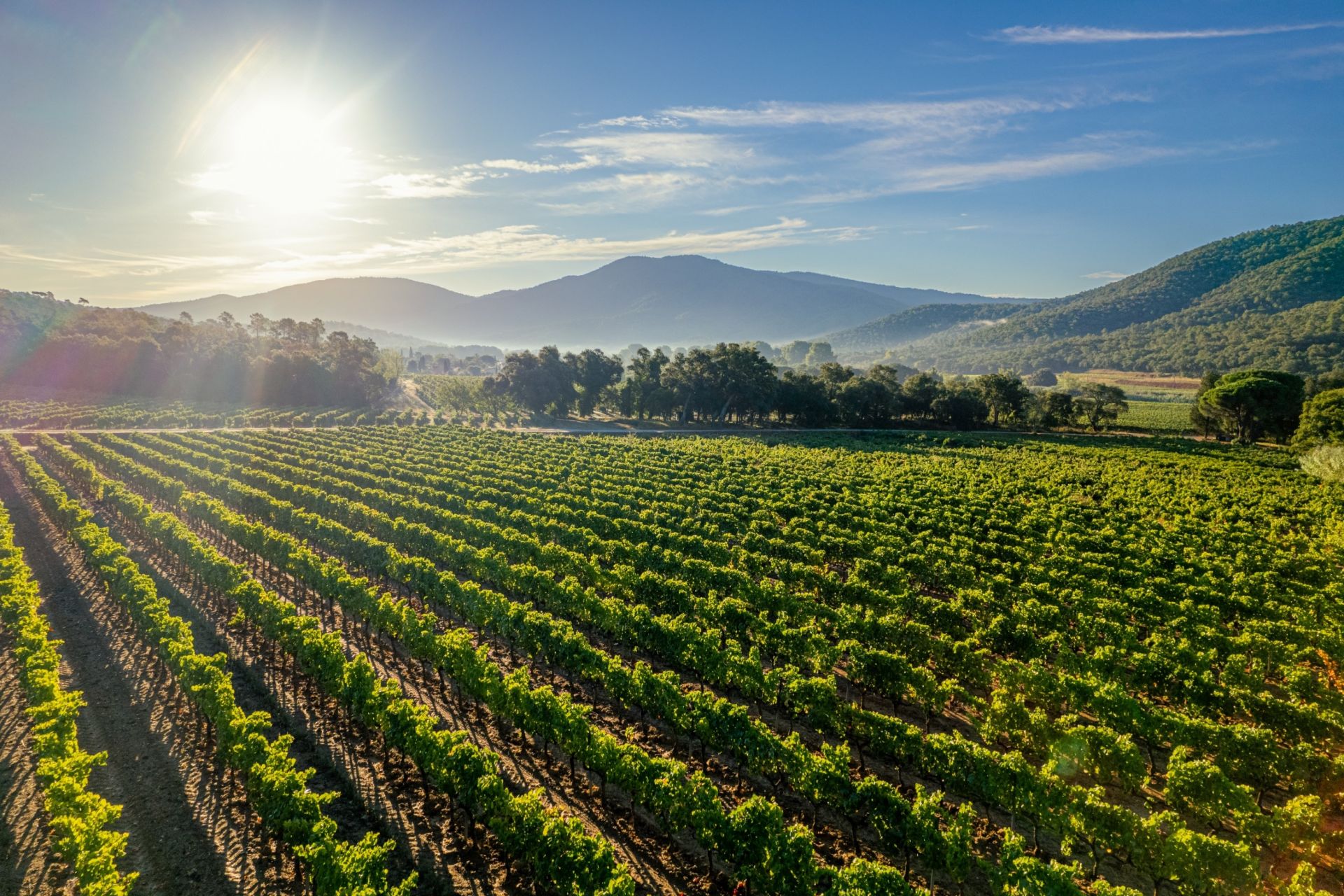 luxury provencale house 2 Rooms for sale on RAMATUELLE (83350)