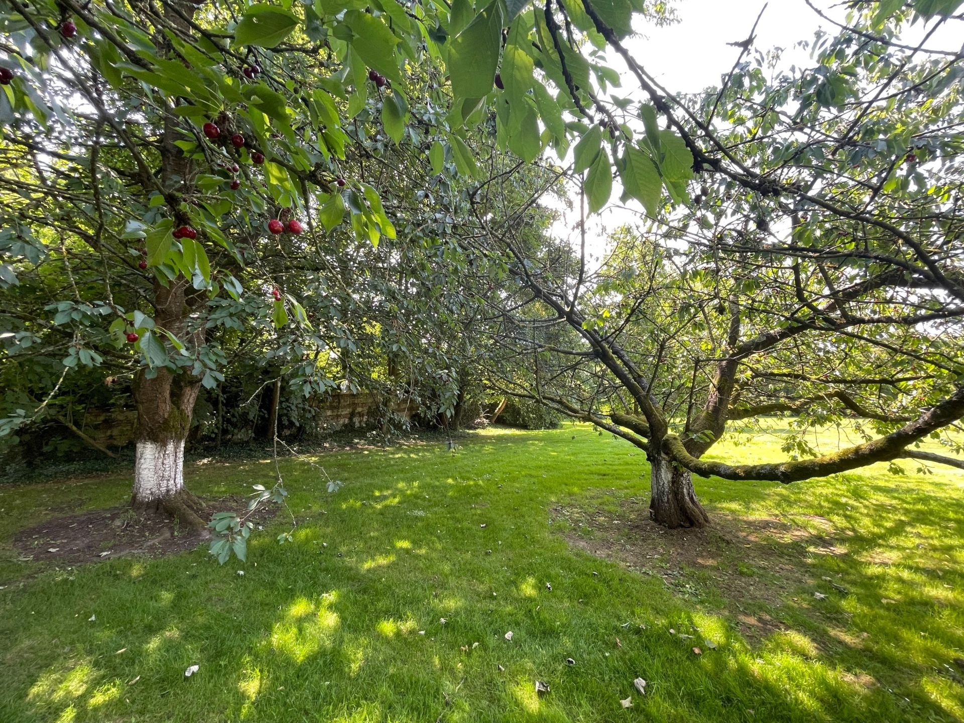 maison de luxe 11 Pièces en vente sur LEWARDE (59287)