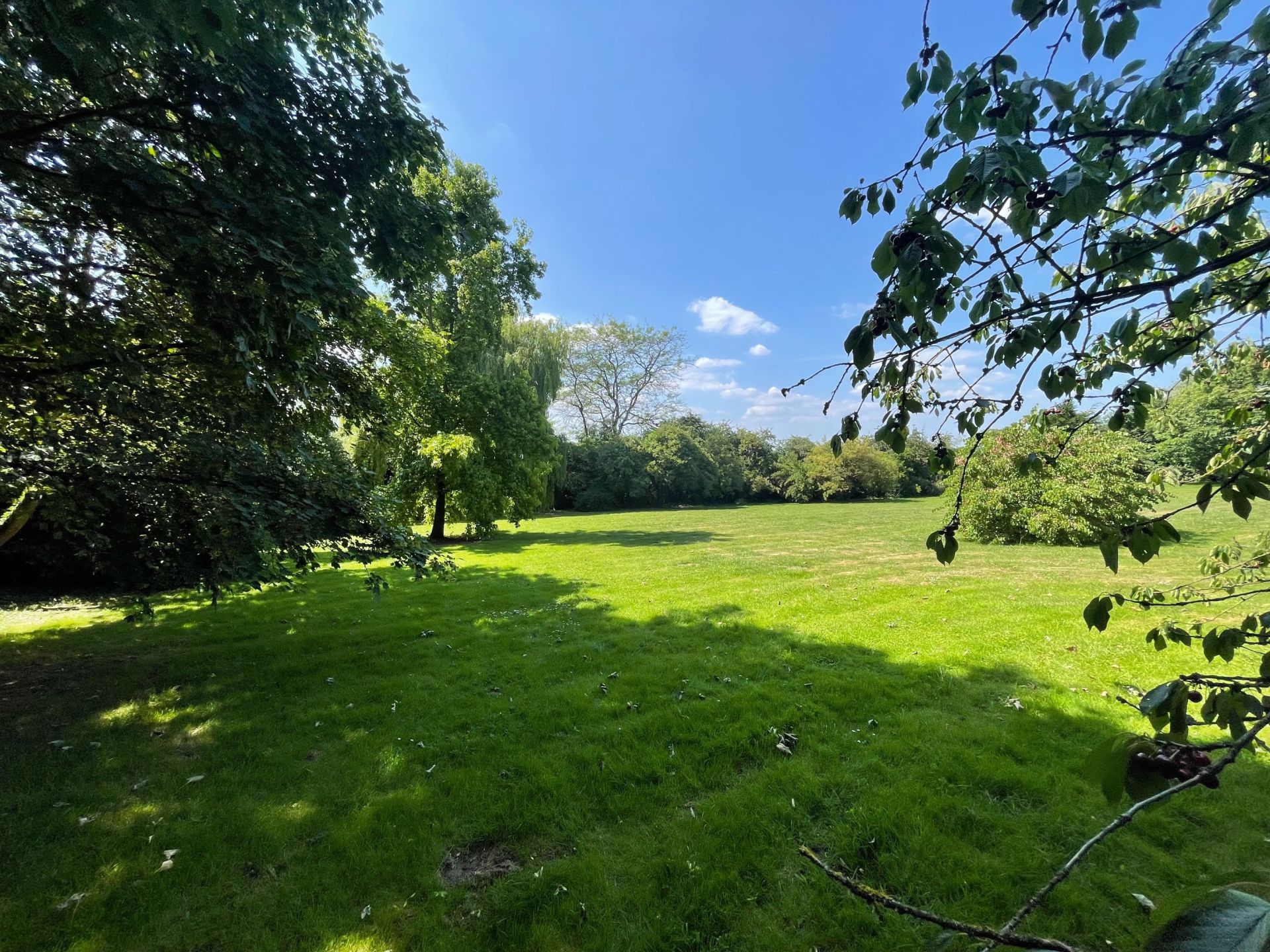 maison de luxe 11 Pièces en vente sur LEWARDE (59287)