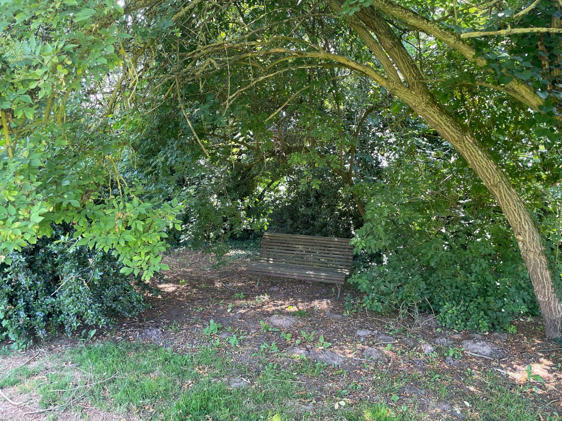 maison de luxe 11 Pièces en vente sur LEWARDE (59287)