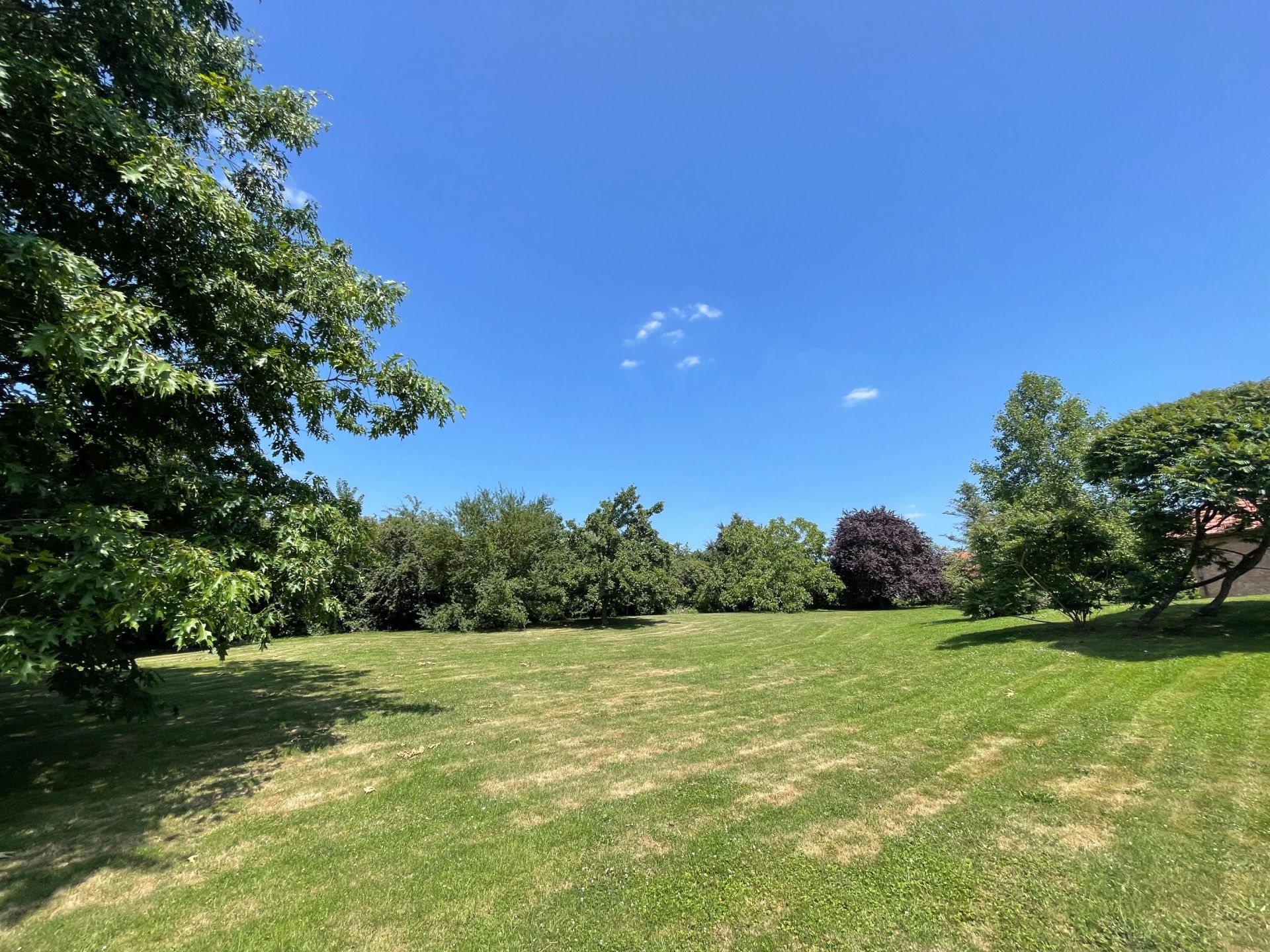 maison de luxe 11 Pièces en vente sur LEWARDE (59287)