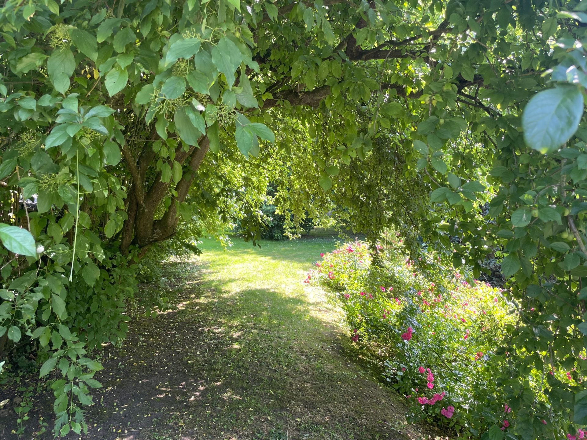 maison de luxe 11 Pièces en vente sur LEWARDE (59287)