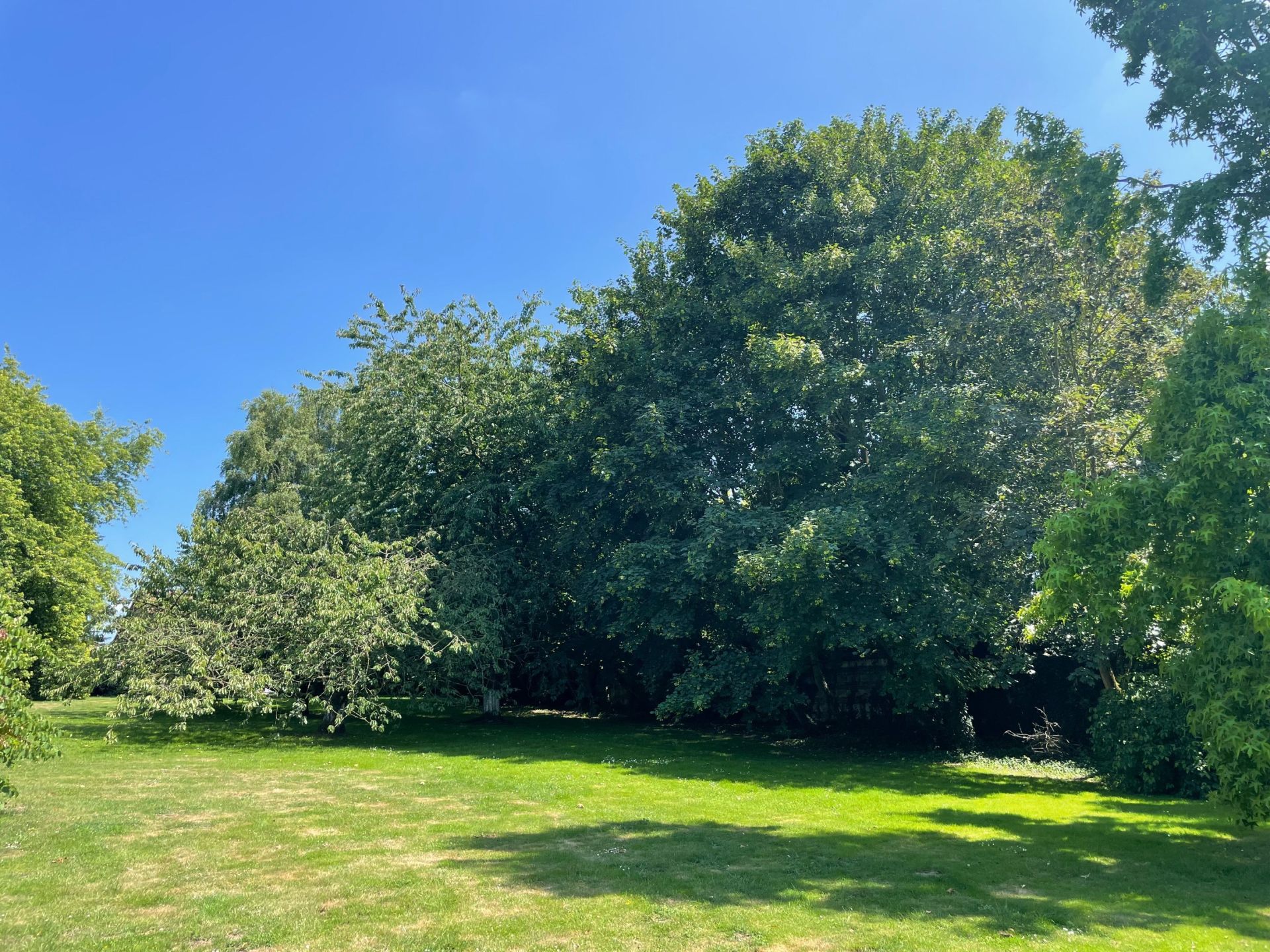 maison de luxe 11 Pièces en vente sur LEWARDE (59287)