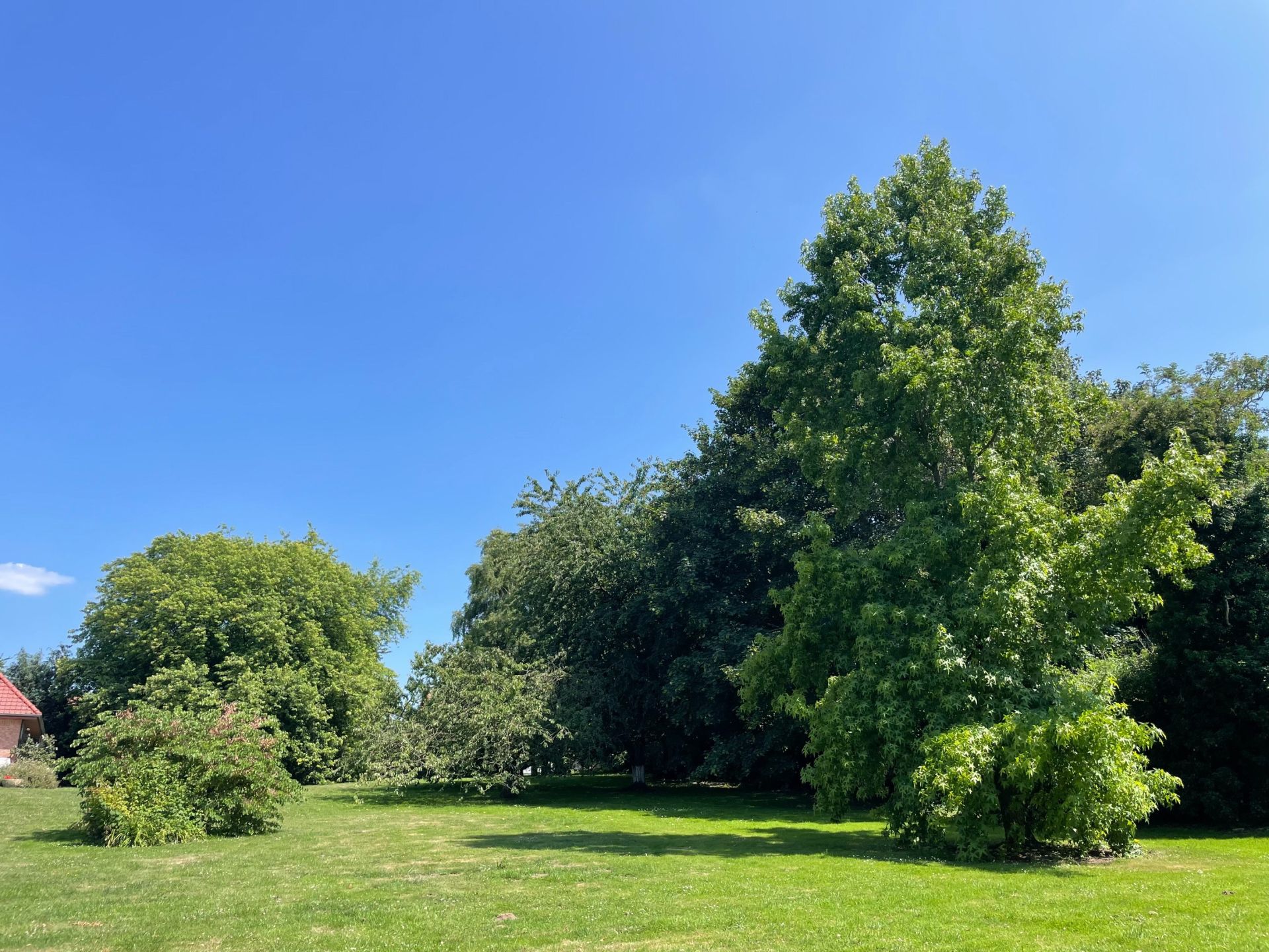 maison de luxe 11 Pièces en vente sur LEWARDE (59287)