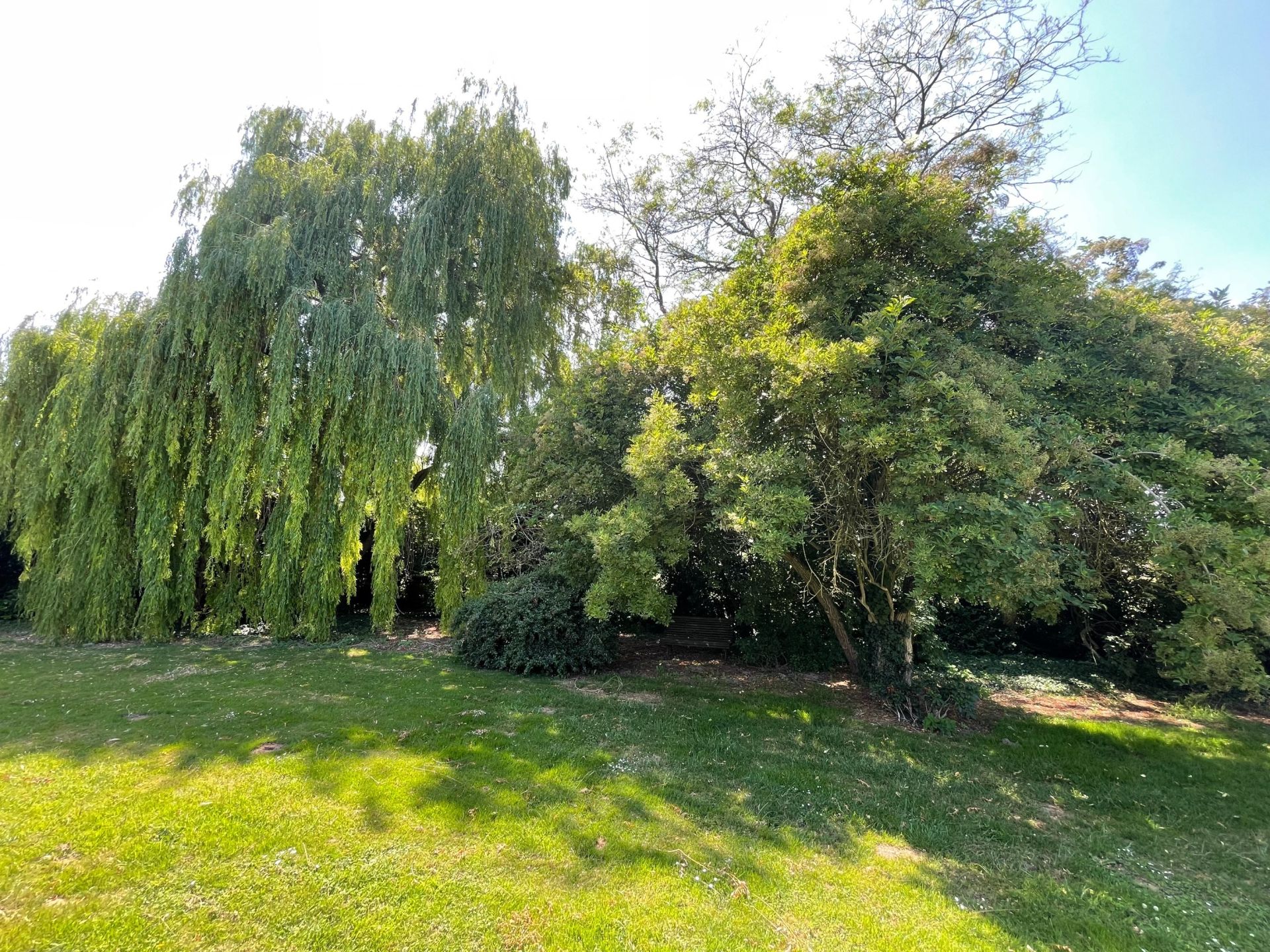 maison de luxe 11 Pièces en vente sur LEWARDE (59287)