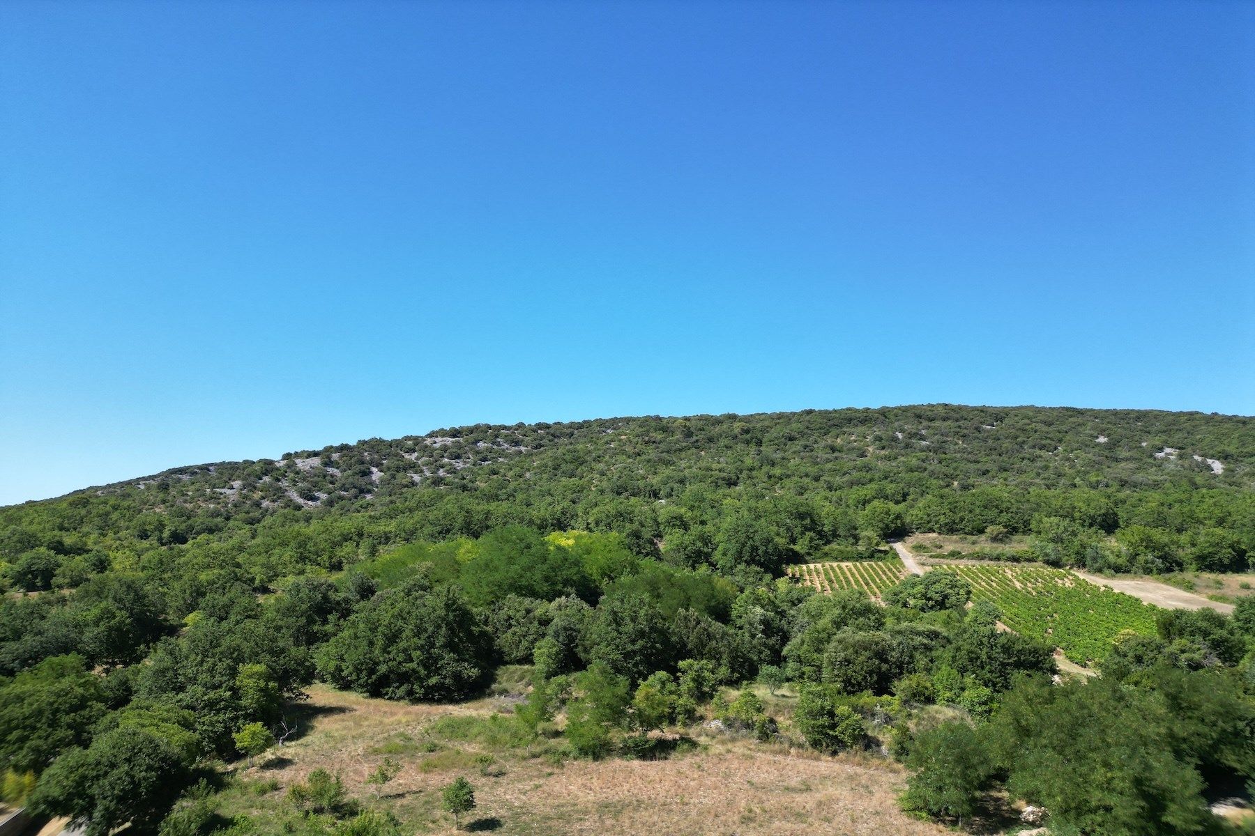 luxury house 11 Rooms for sale on GOUDARGUES (30630)