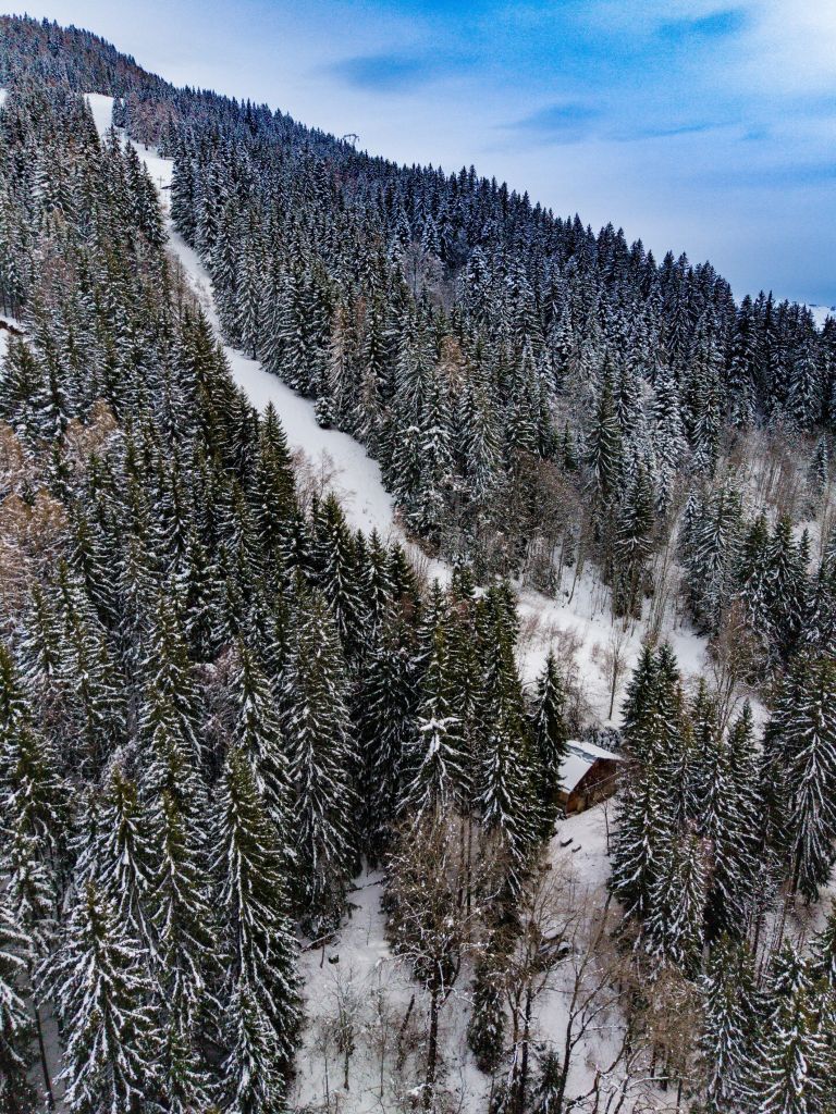 luxury chalet 7 Rooms for sale on ST GERVAIS LES BAINS (74170)