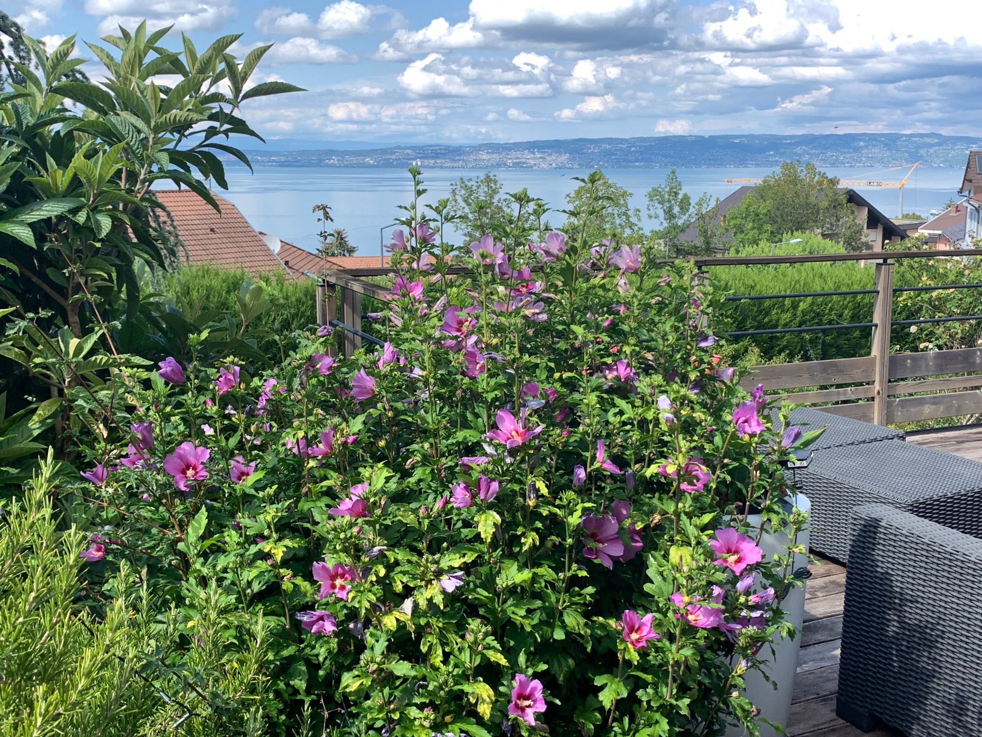 luxury house 8 Rooms for sale on EVIAN LES BAINS (74500)