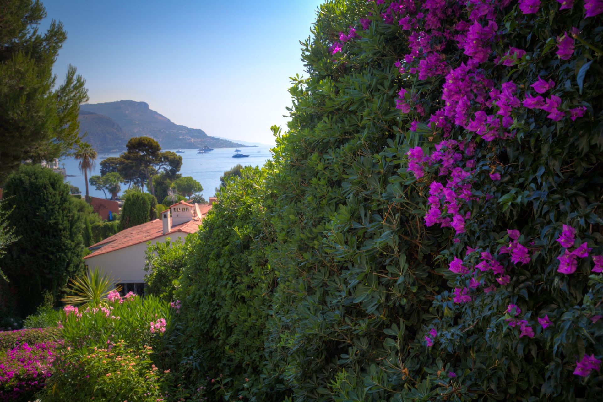 duplex de luxe 5 Pièces en vente sur ST JEAN CAP FERRAT (06230)