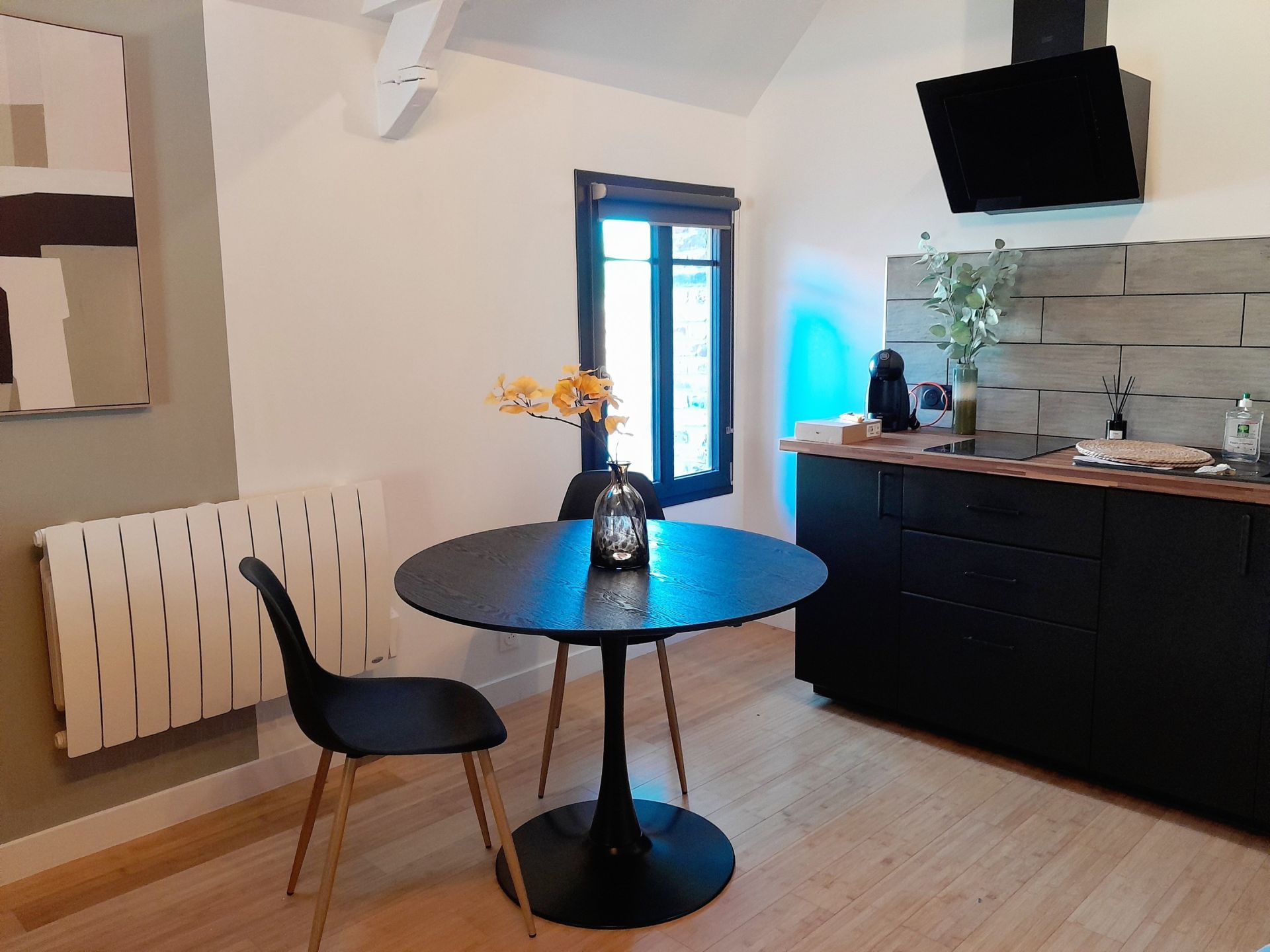 appartement de luxe 1 pièce en location saisonnière sur ETAPLES (62630)