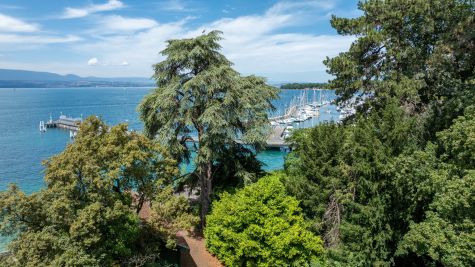 Vente Maison de luxe Thonon-les-Bains 18 Pièces 527 m²