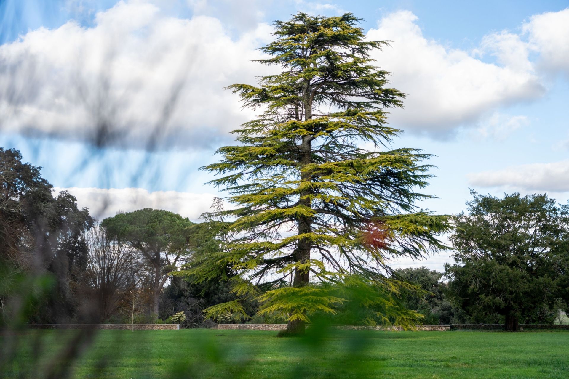 castle 18 Rooms for sale on ROYAN (17200)