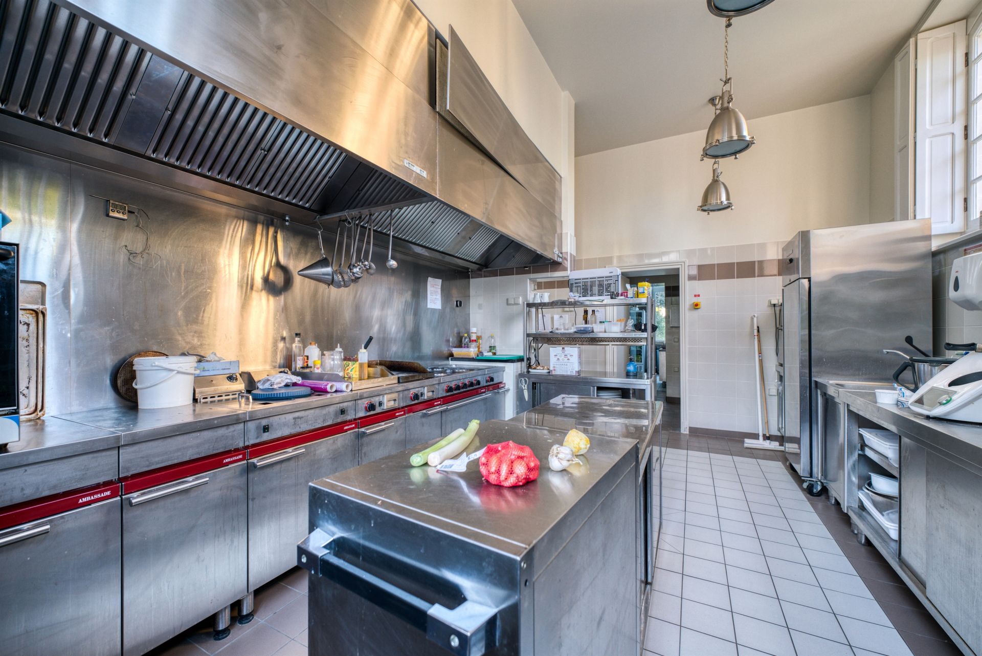 castle 18 Rooms for sale on ROYAN (17200)