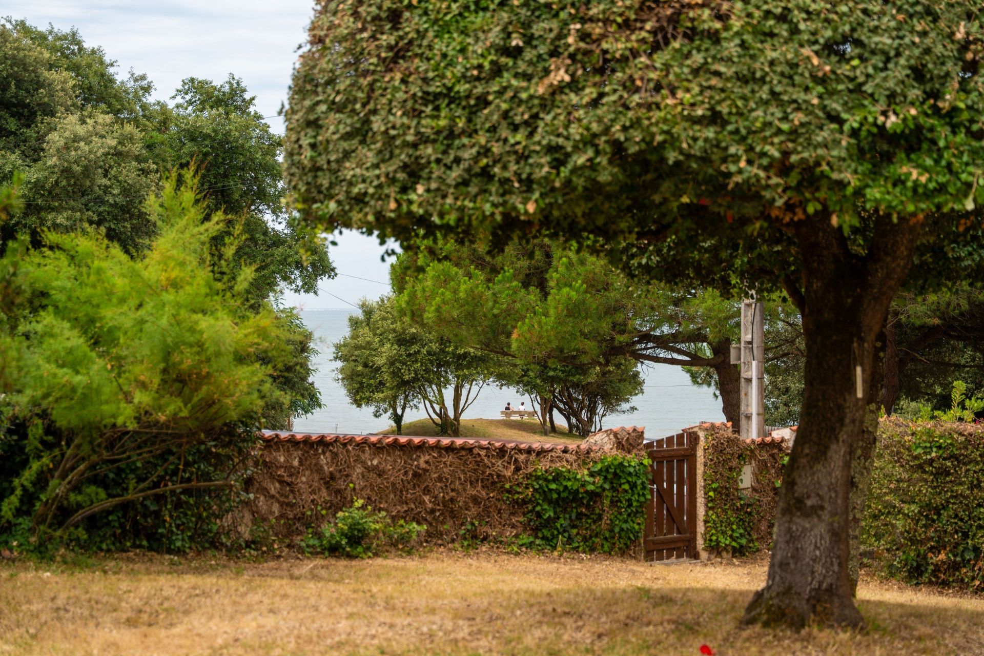 luxury house 9 Rooms for sale on ST PALAIS SUR MER (17420)