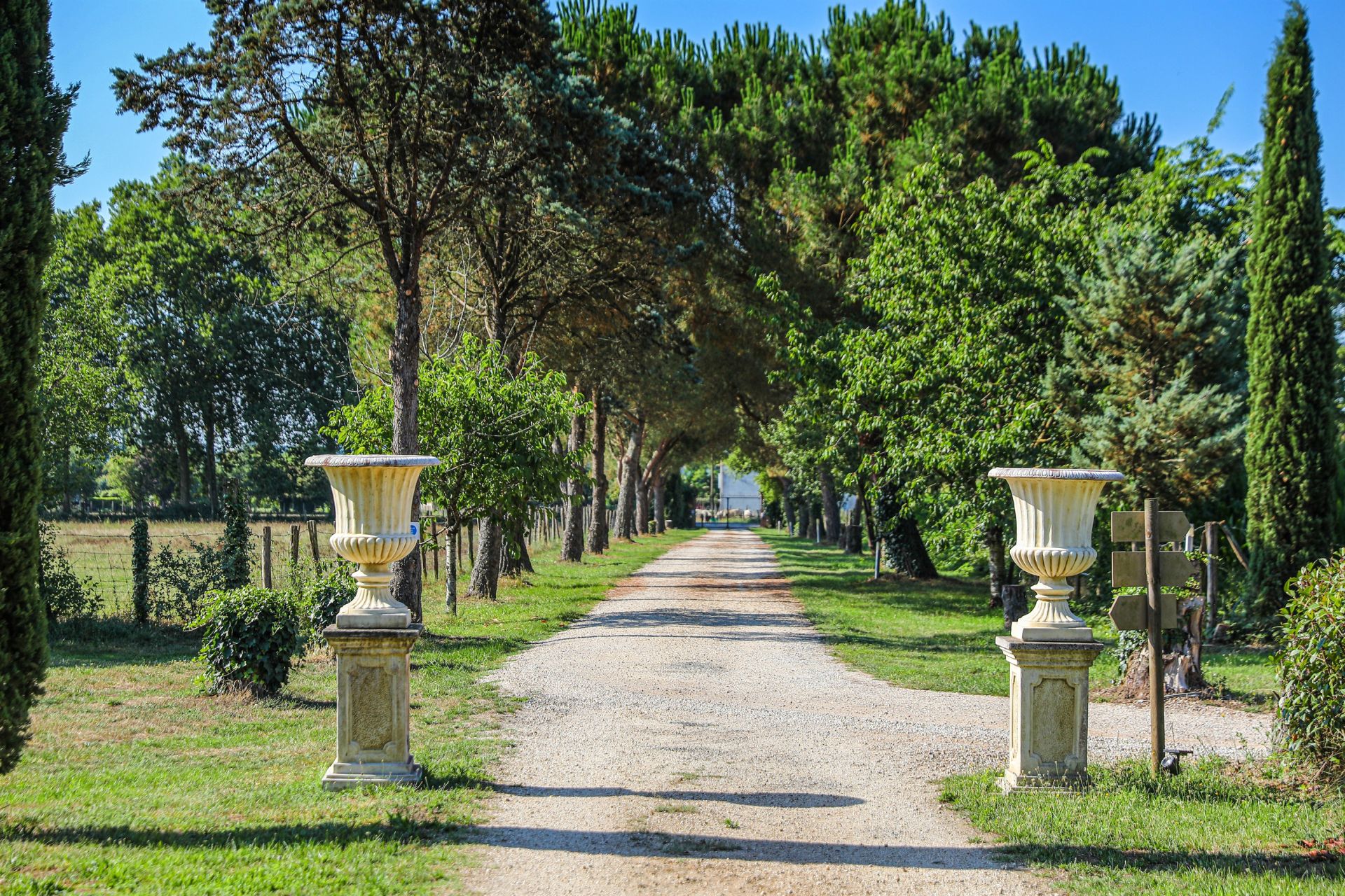 luxury house 20 Rooms for sale on TOULOUSE (31000)