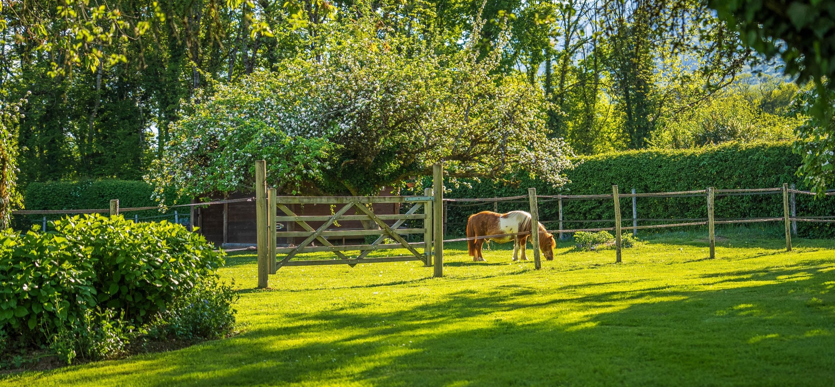 luxury house 10 Rooms for sale on CHEVRY (01170)