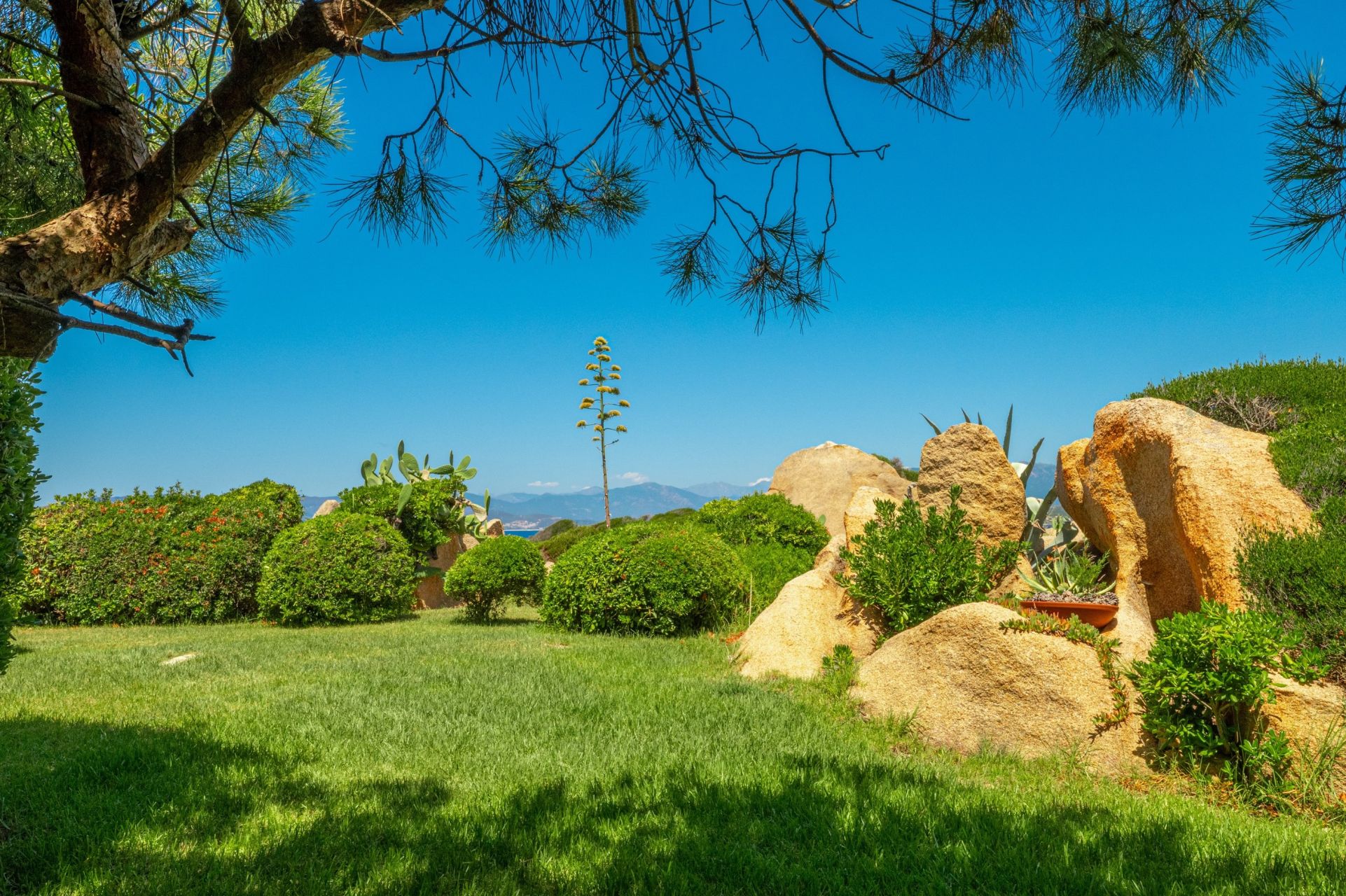 maison de luxe 6 Pièces en location saisonnière sur AJACCIO (20000)