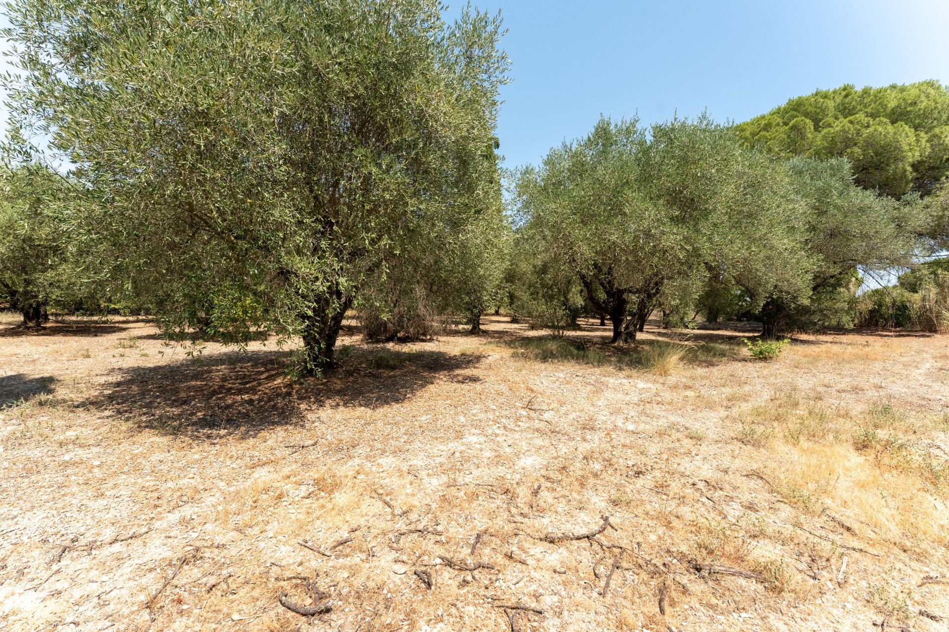 luxury house 6 Rooms for sale on ST REMY DE PROVENCE (13210)