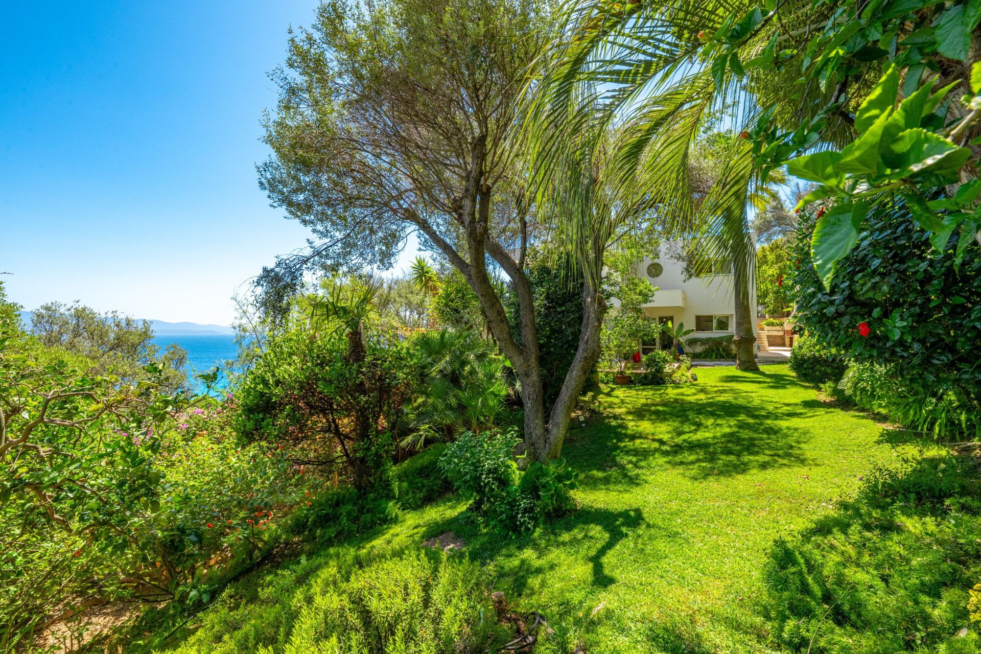 villa de luxe 7 Pièces en vente sur AJACCIO (20000)