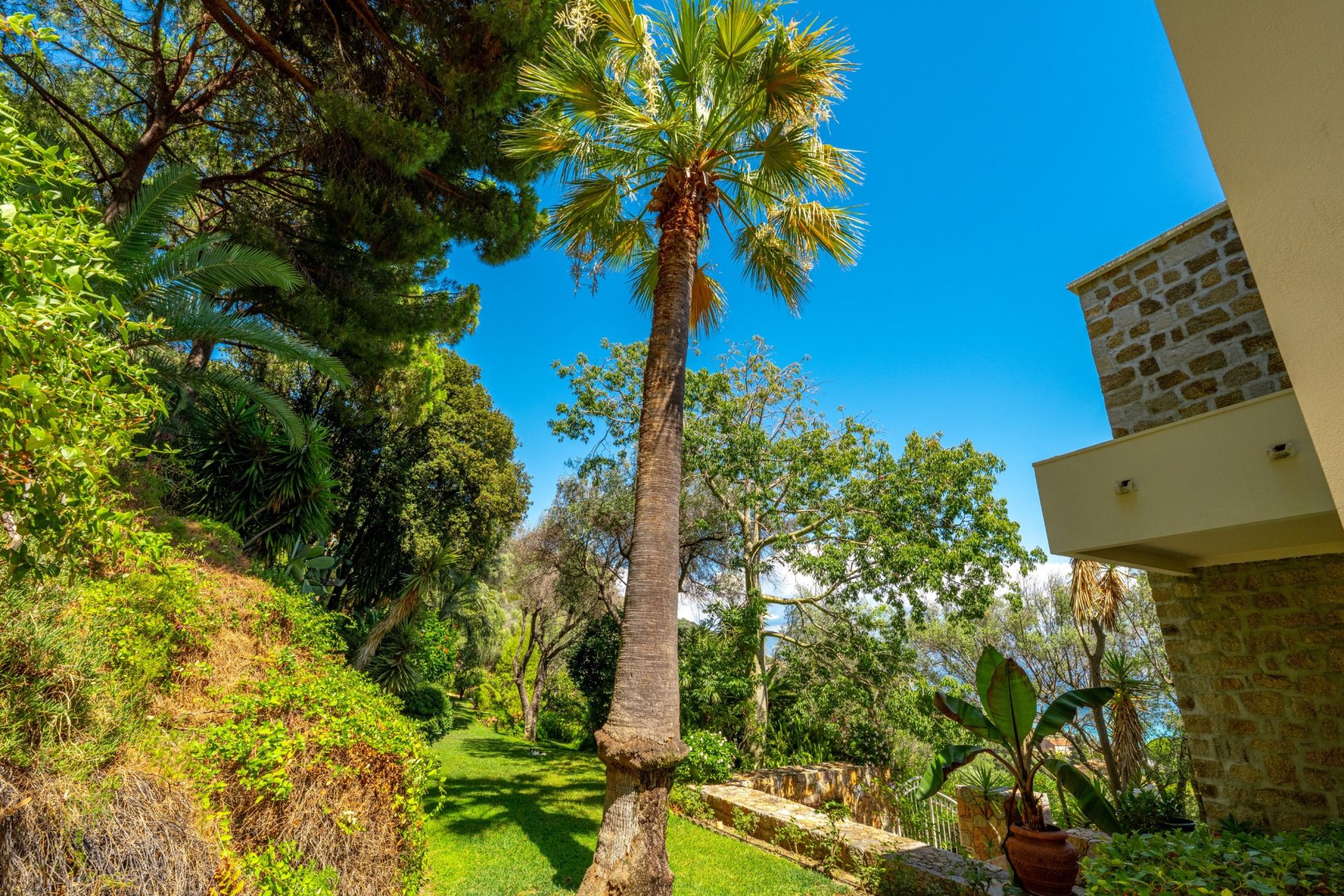 luxury villa 7 Rooms for sale on AJACCIO (20000)