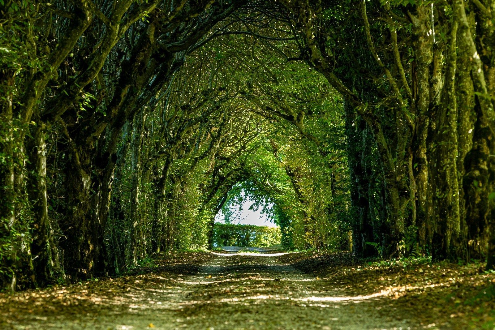 château 24 Pièces en vente sur LES AVENIERES (38630)