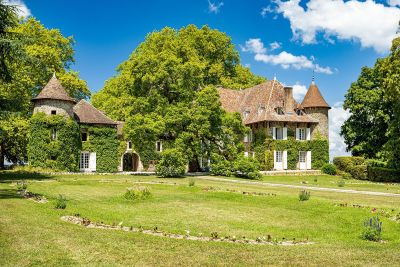 Vente Château Les Avenières 24 Pièces 820 m²