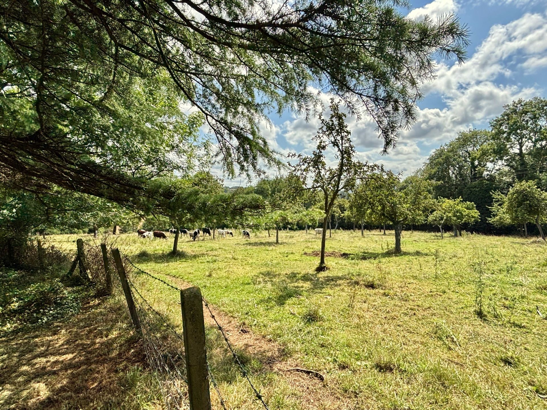 maison de luxe 10 Pièces en vente sur ENGLESQUEVILLE EN AUGE (14800)