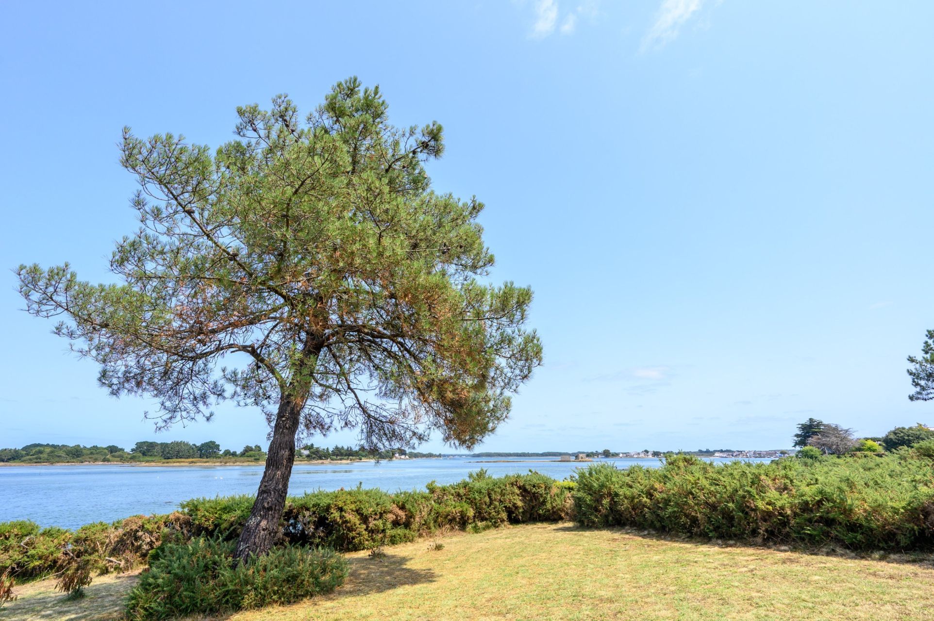 maison de luxe 9 Pièces en vente sur PLOUHINEC (56680)