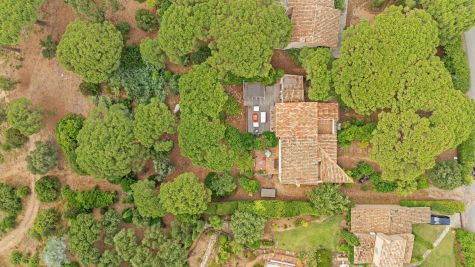 Vente Villa de luxe Ramatuelle 7 Pièces 109 m²