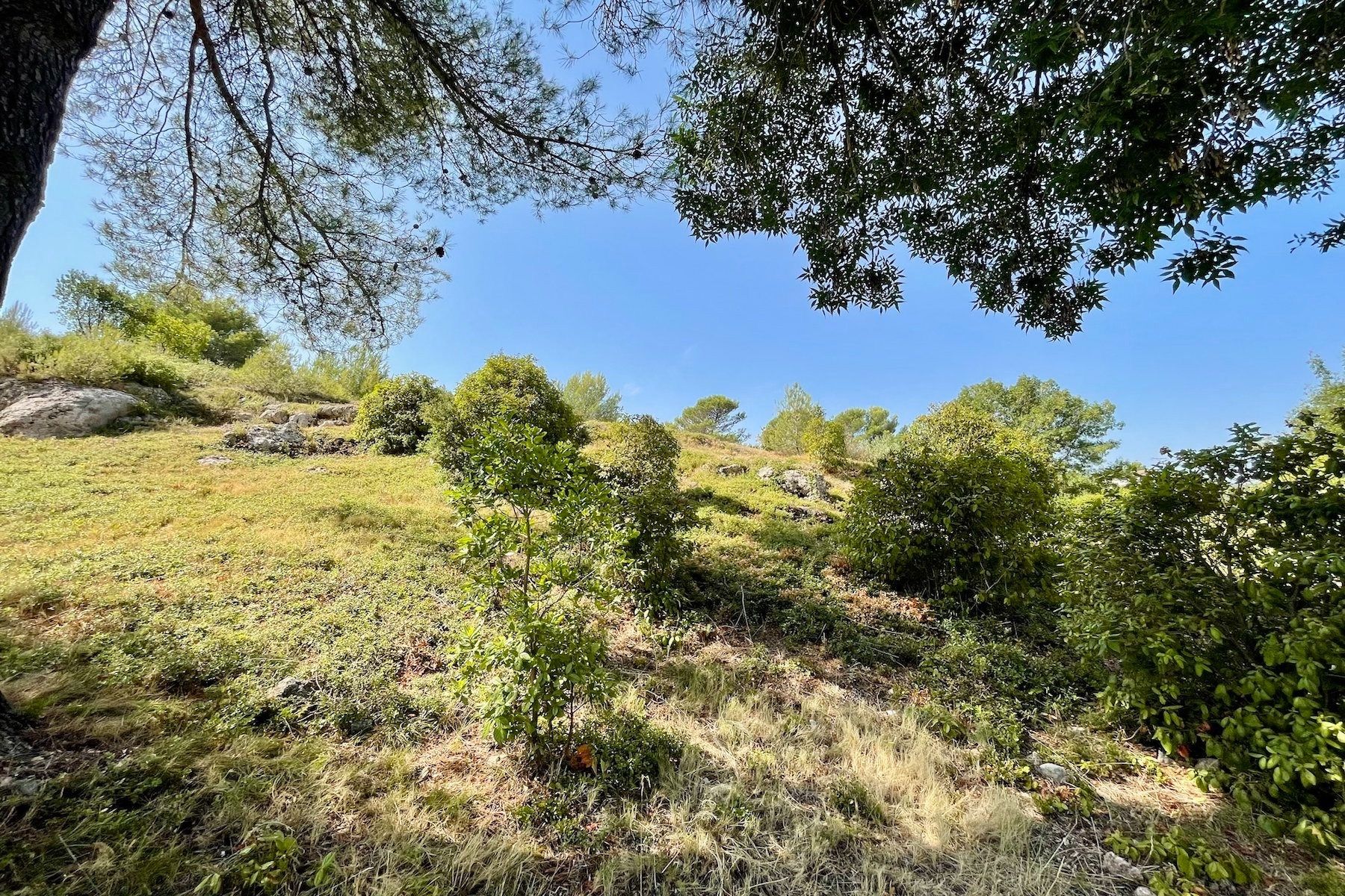 maison de luxe 10 Pièces en vente sur GRABELS (34790)