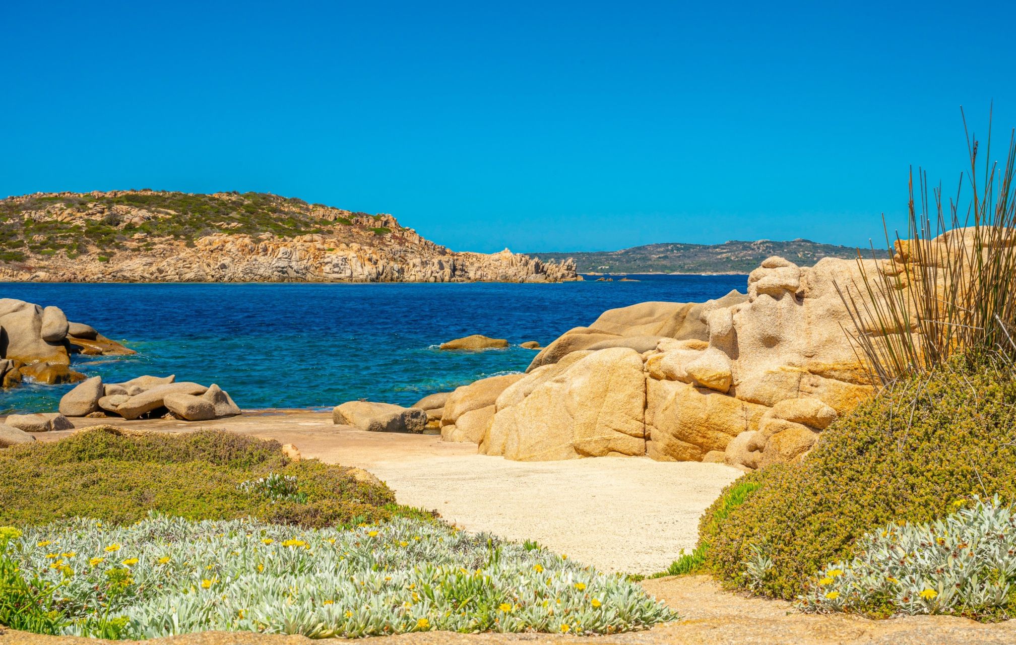 luxury villa 7 Rooms for sale on BONIFACIO (20169)