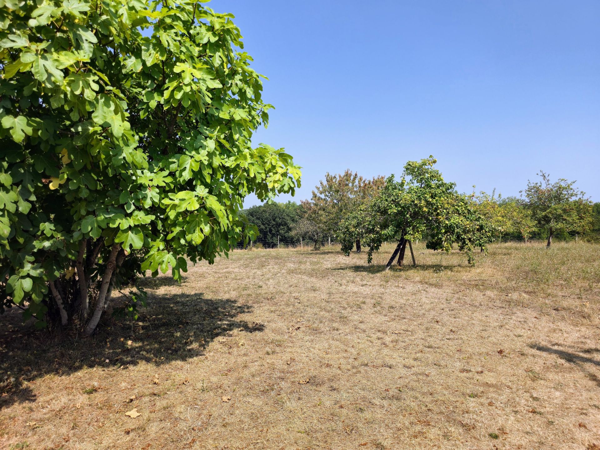 luxury house 10 Rooms for sale on PERIGUEUX (24000)