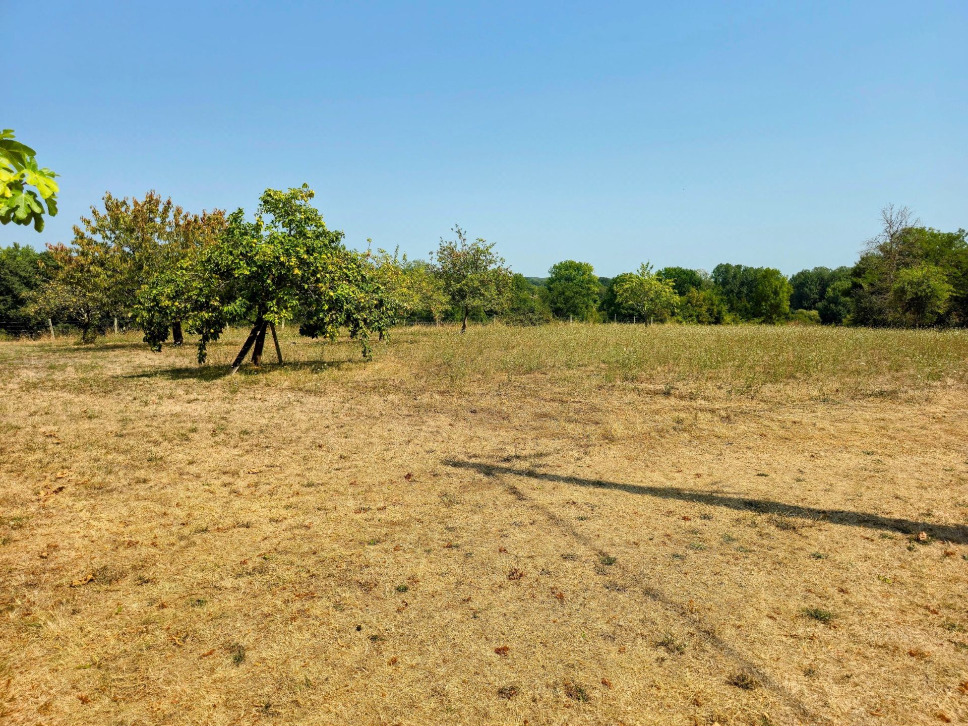 luxury house 10 Rooms for sale on PERIGUEUX (24000)