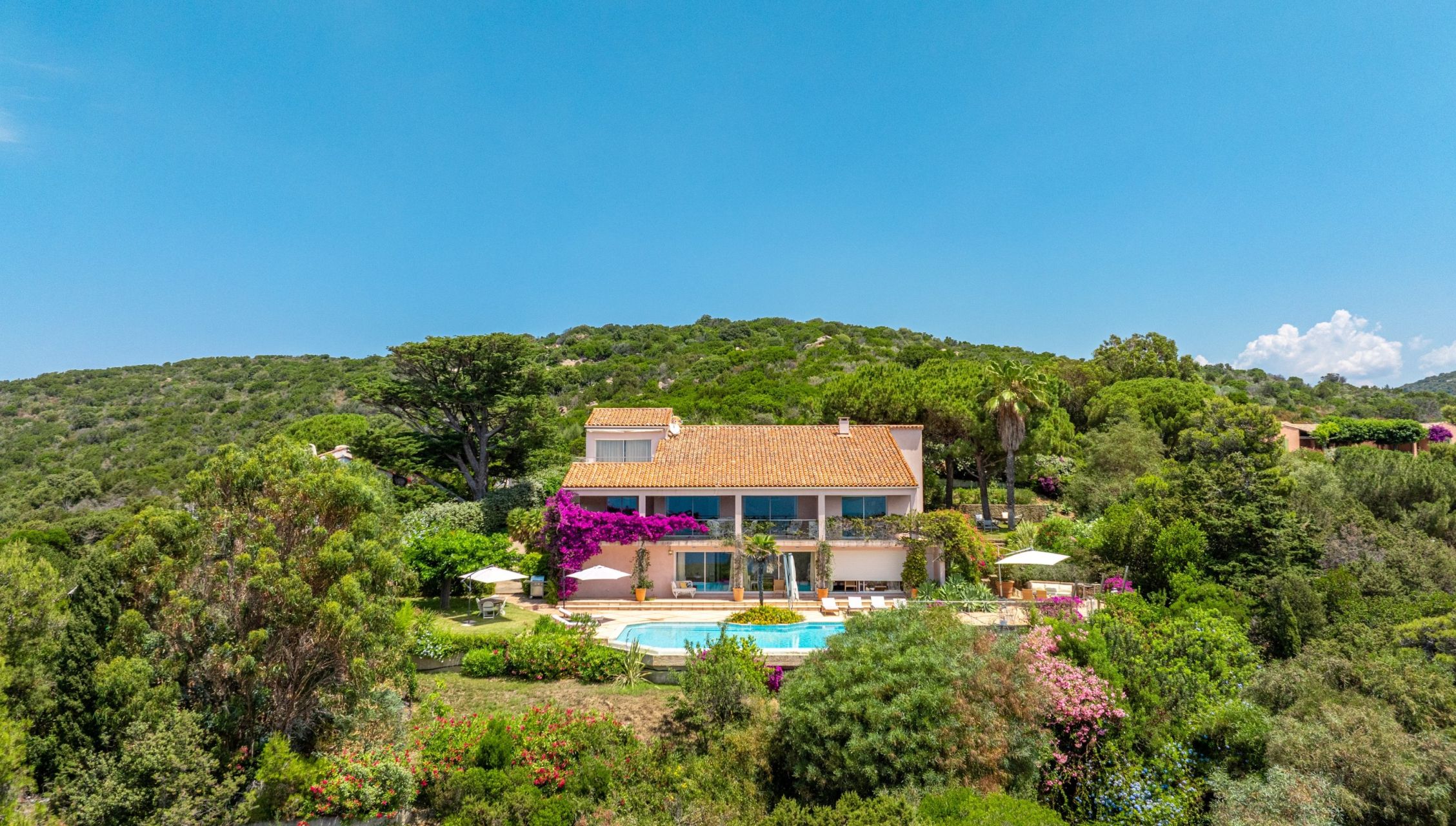 villa de luxe 10 Pièces en vente sur PIETROSELLA (20166)