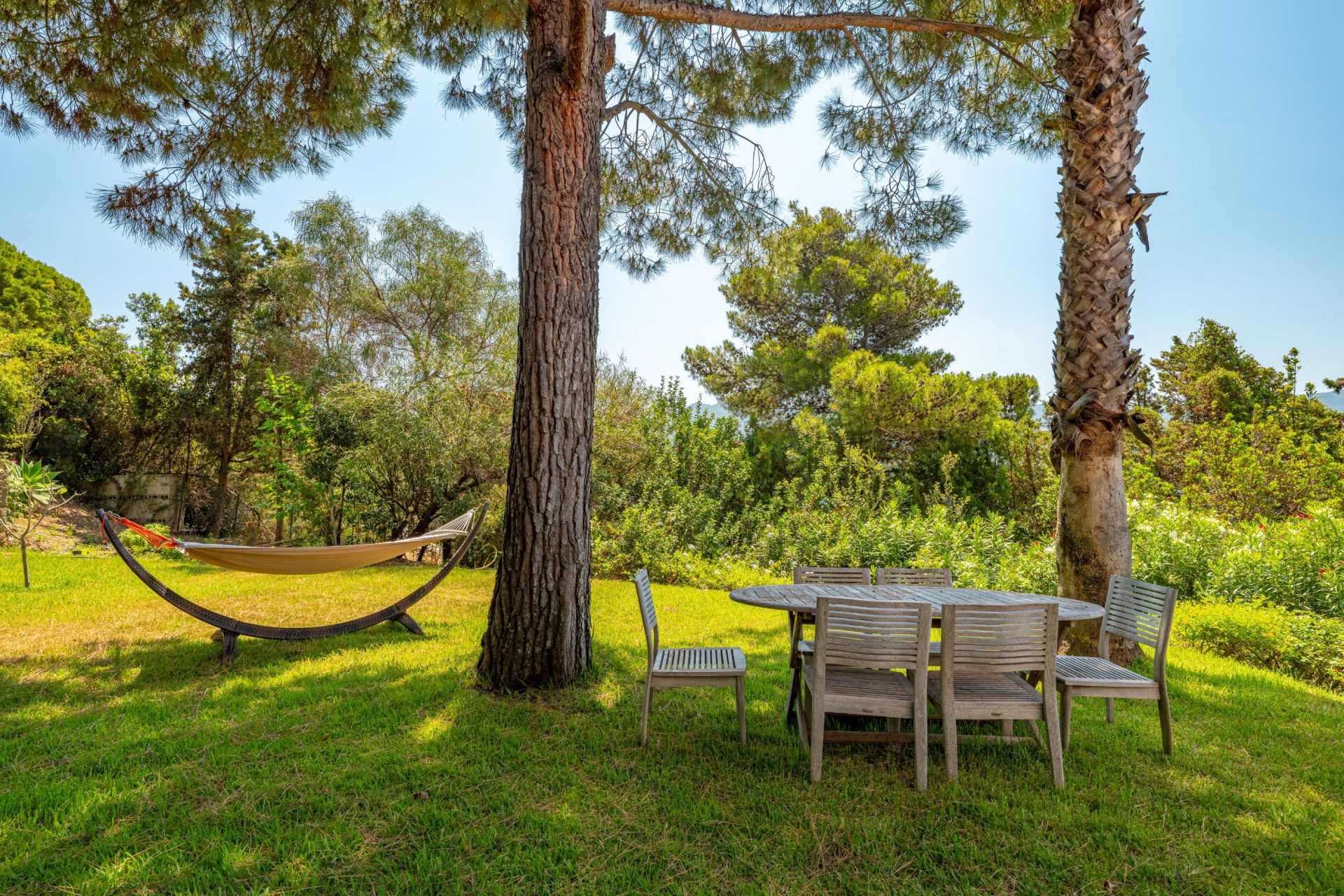 villa de luxe 10 Pièces en vente sur PIETROSELLA (20166)