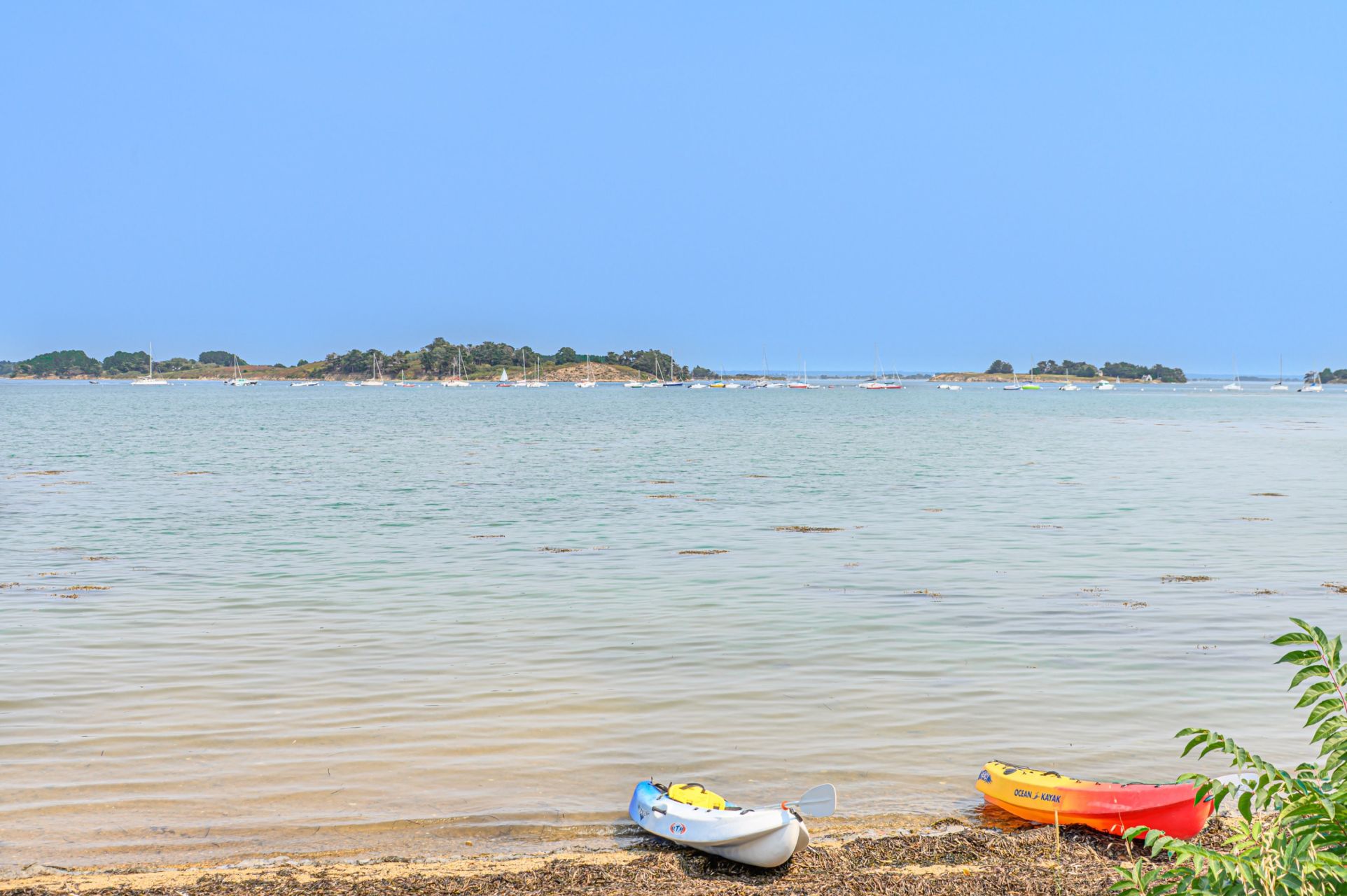 luxury house 6 Rooms for sale on ARZON (56640)