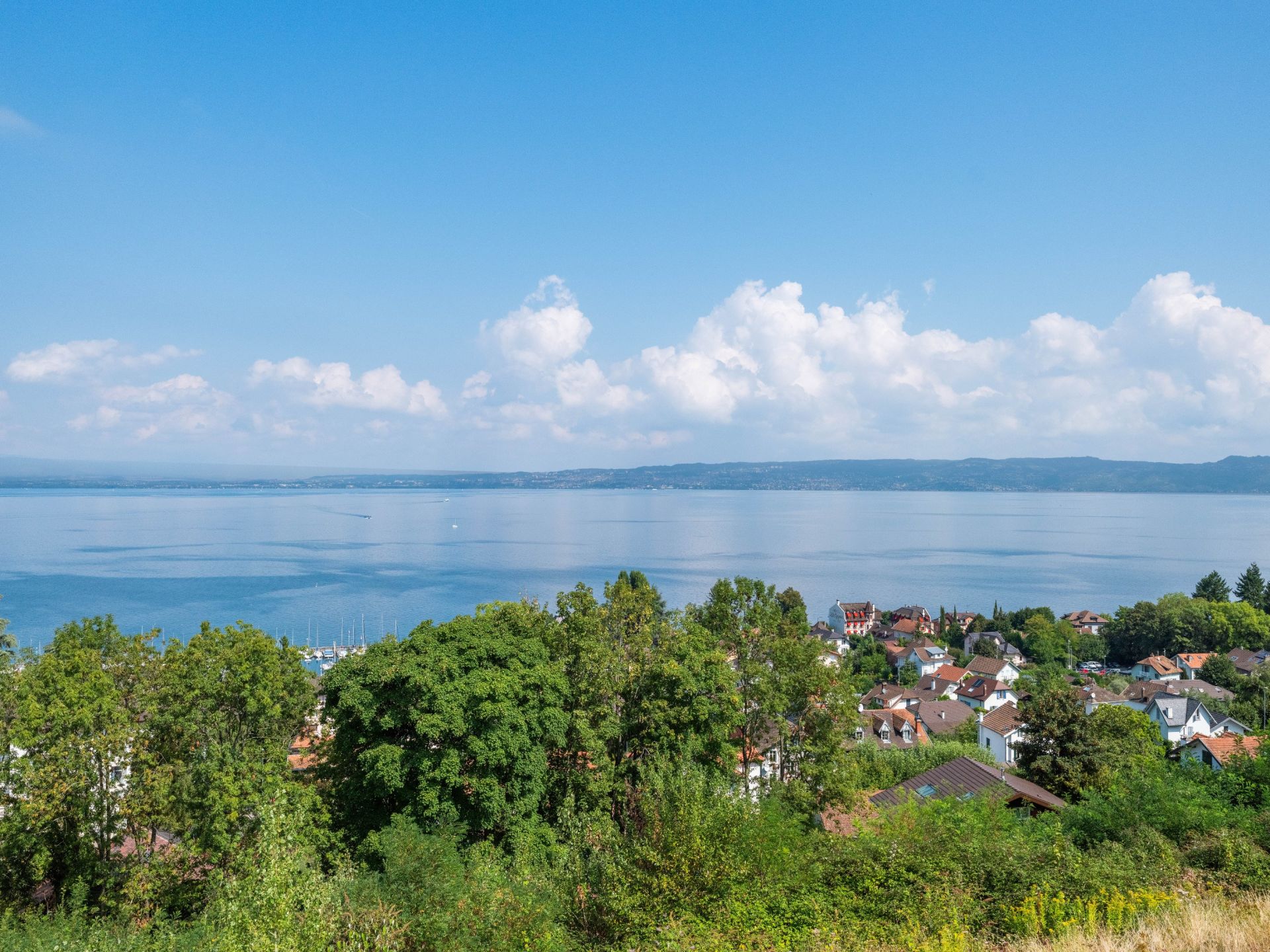 luxury apartment 4 Rooms for sale on NEUVECELLE (74500)