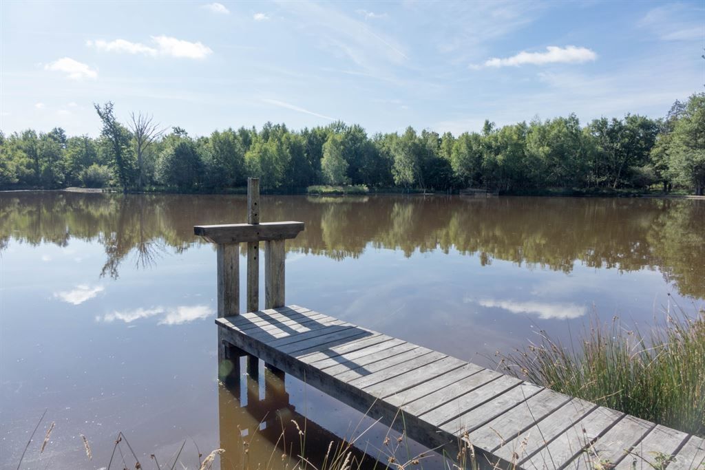 luxury property of hunting 13 Rooms for sale on ISDES (45620)