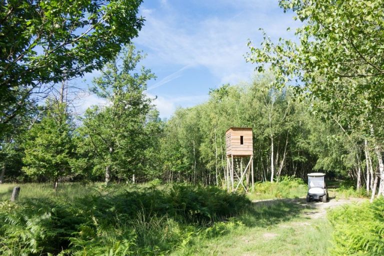 luxury property of hunting 13 Rooms for sale on ISDES (45620)